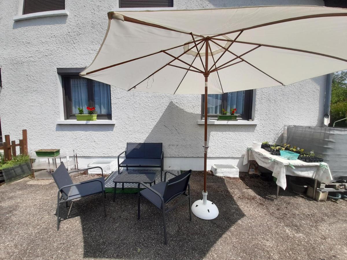 Saint-Andre-le-Gaz Villa Detente Dauphinoise المظهر الخارجي الصورة